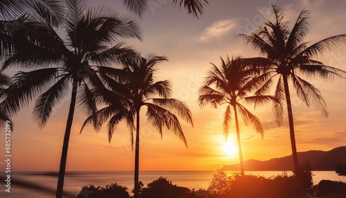 Stunning tropical sunset with silhouetted palm trees