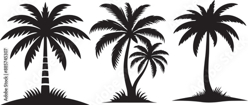 Palm tree silhouette icon vector, Palm tree vector illustration, coconut tree icon vector illustration, simple flat vector illustration