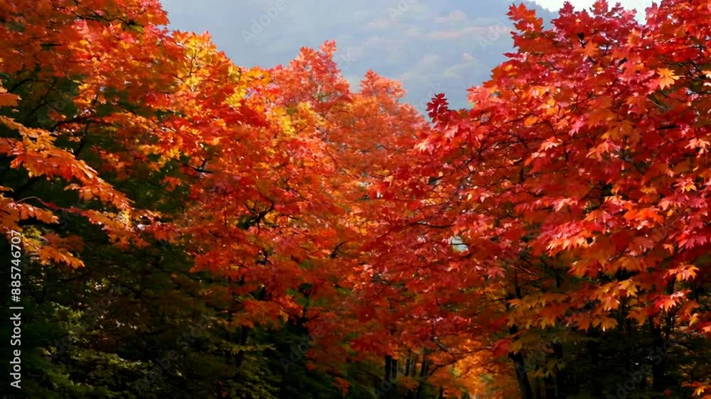 Autumn Road Through Maple Trees Generative AI Autumn Road Through Maple Trees Generative AI