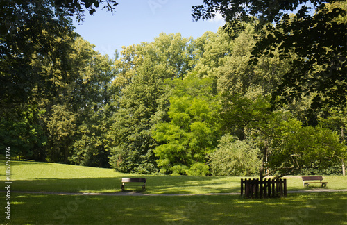 Beautiful castle park in the summer season on a sunny day. Sunny day, summer. Park with green trees and grass. Shadow and sunshine. Nature, rest, walk, trees.