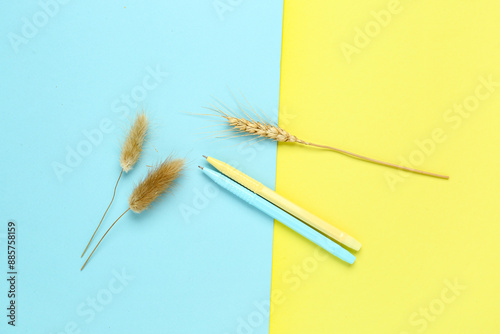 Pens with lagurus and wheat spikelet on colorful background