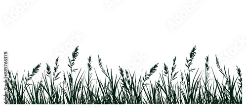 doodle grass illustration collection hand drawn style