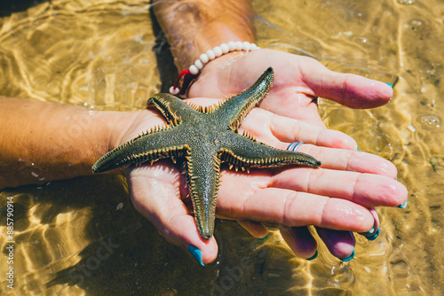 Foto woman hands holding a starfish on ria formosa beach in algarve during the summer