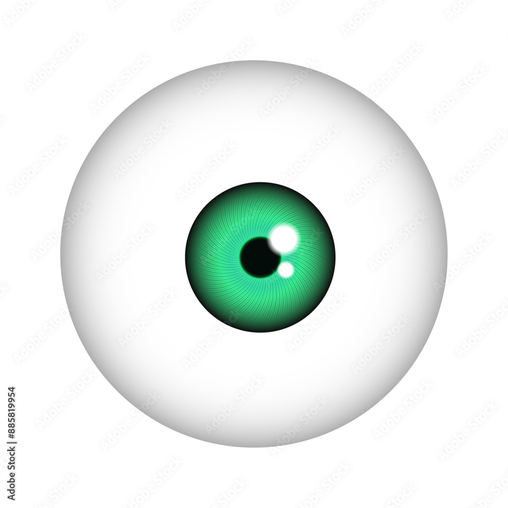 Eye iris in green color Eye iris in green color