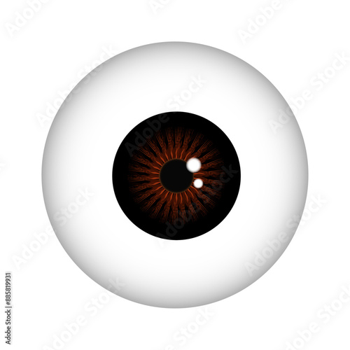 Eye iris in brown color