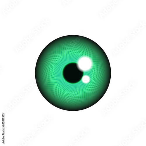 Eye iris in green color