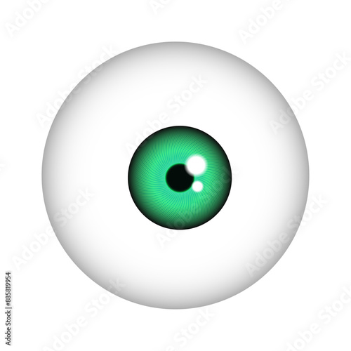 Eye iris in green color