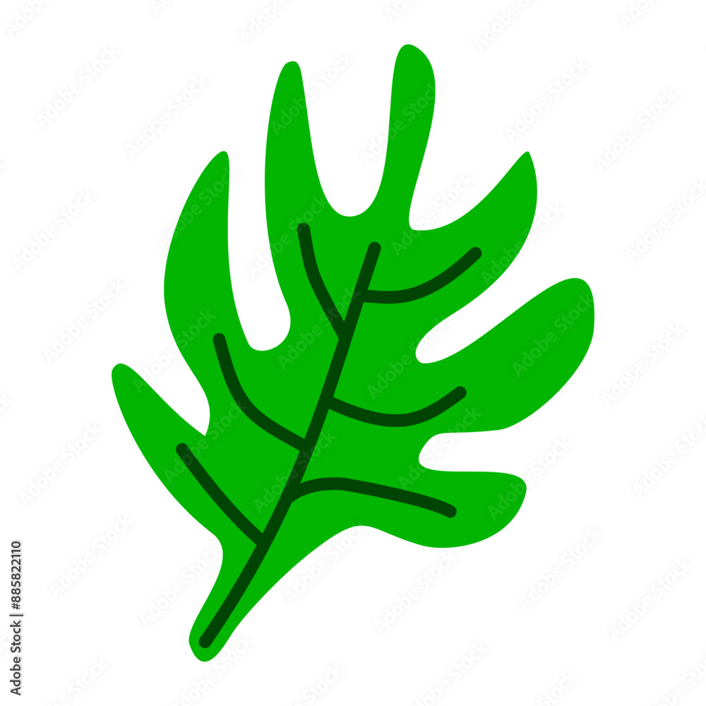 Green leaf illustration monstera Green leaf illustration monstera