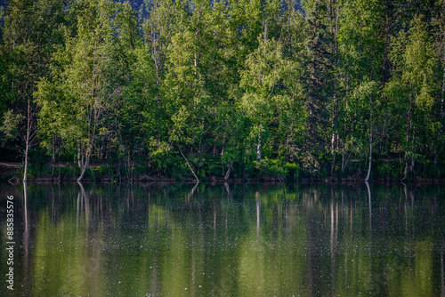 Green Reflections