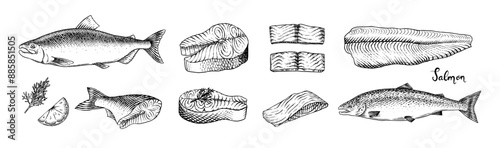 Fish sketch. Salmon fillet, ink hand drawn vector illustration. Steaks slices. Fresh product. Engraved style vintage seafood. sea food restaurant menu, cooking recipe, product package, card
