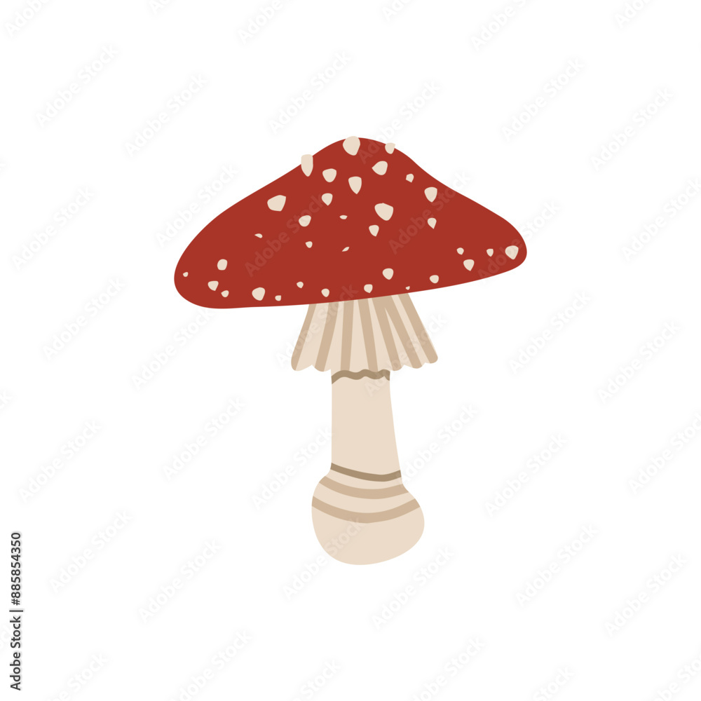 Vector isolated element. Amanita. Mushrooms. Autumn time. Halloween. Color image on a white background. The print is used for packaging design. Vector isolated element. Amanita. Mushrooms. Autumn time. Halloween. Color image on a white background. The print is used for packaging design.