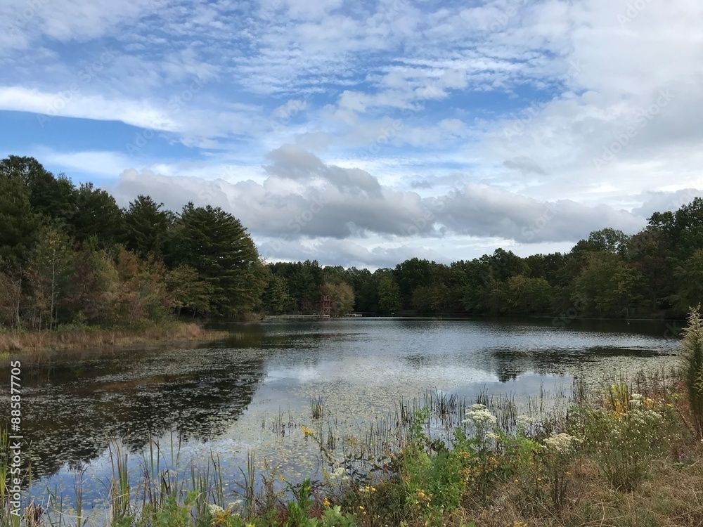 Fototapeta premium lake in the woods