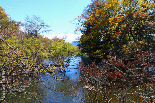 秋の日光の風景。湯の湖から流れ出る湯川。