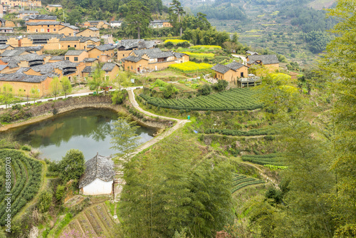 Suichang, Zhejiang, China - March 29, 2017: High angle and spring view of bamboo trees and field with reservoir and road against tile roof houses at Yanggatang Village
 photo