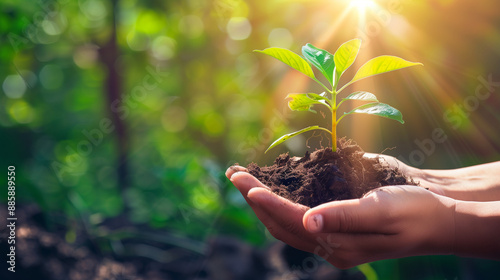 Hands carefully holding a small plant with soil, on a blurred green background.