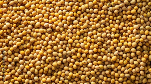 A large pile of yellow beans. The beans are scattered all over the ground. The beans are yellow and have a slightly wrinkled texture