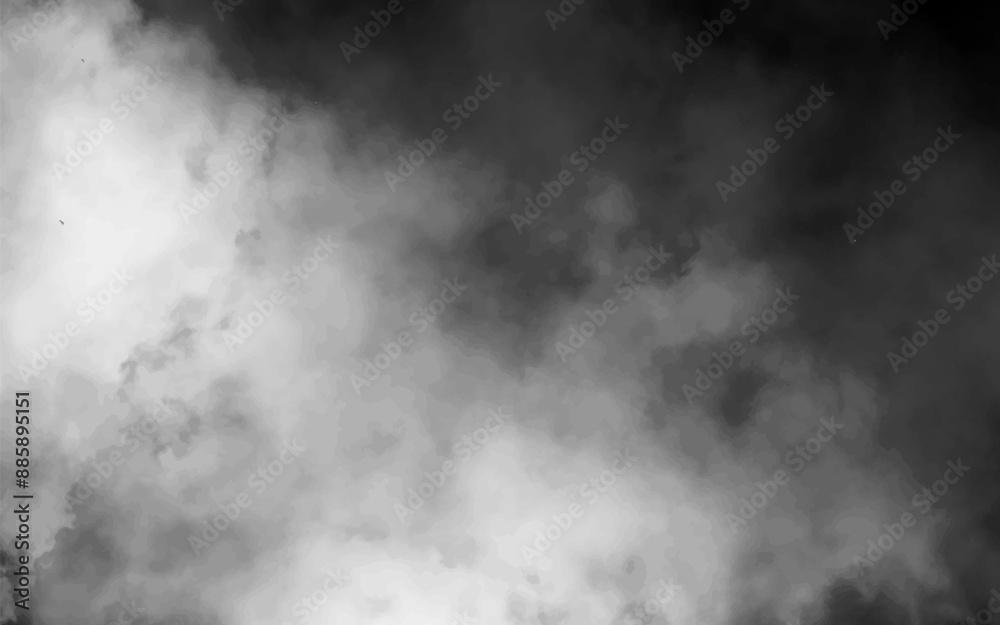 Fototapeta premium Adobe Illustrator Artwork