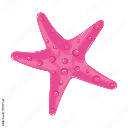 Colored starfish icon Sea animal Vector illustration