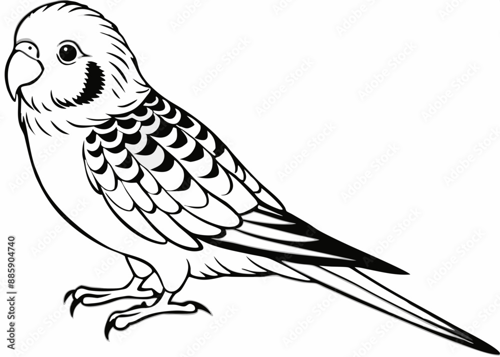 Obraz premium Budgerigar silhouette vector illustration 