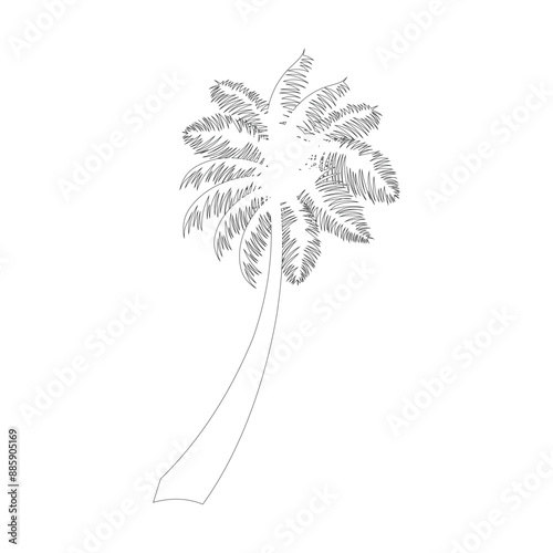 Palm tree sketch icon Vector illustration