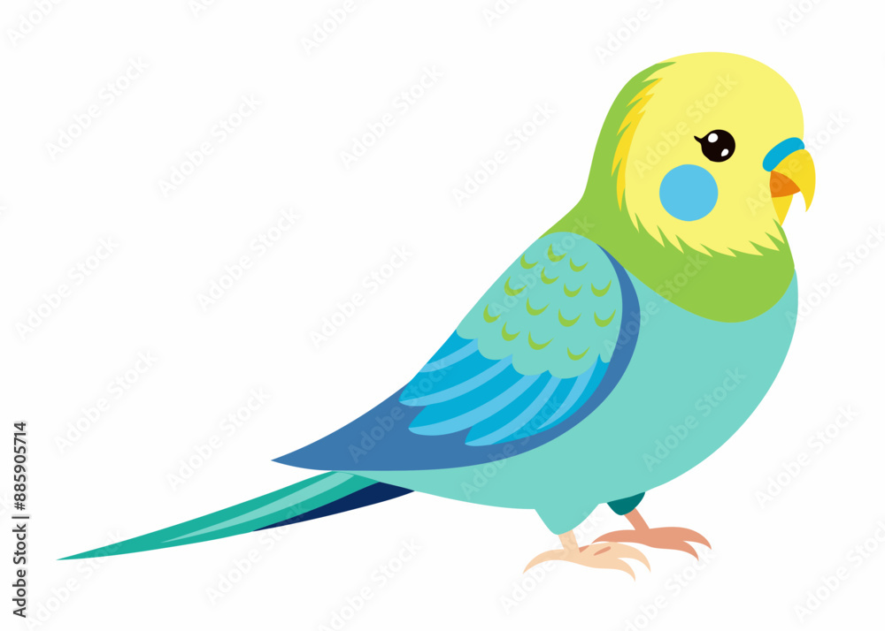 Fototapeta premium Budgerigar colorful vector illustration 