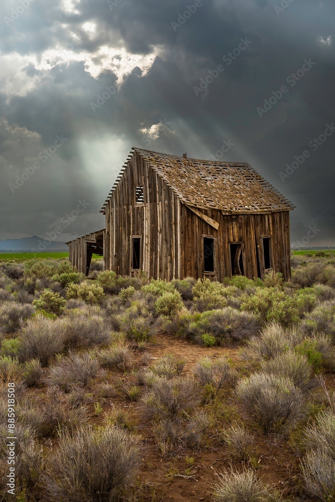 Φωτογραφία An abandoned homestead cabin surrounded by sage brush on the desert near Silver Lake, Oregon
