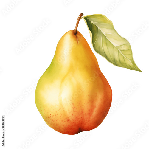 Watercolor Isolated Green, Golden, and Red Pear with Leaf photo