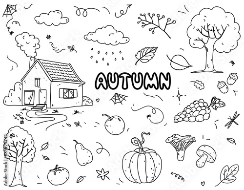 Autumn vector set in doodle style. Countryside house, leaves, trees, vegetables, fruits, mushrooms, weather elements, insects. Cute hand-drawn set autumn themed illustrations.