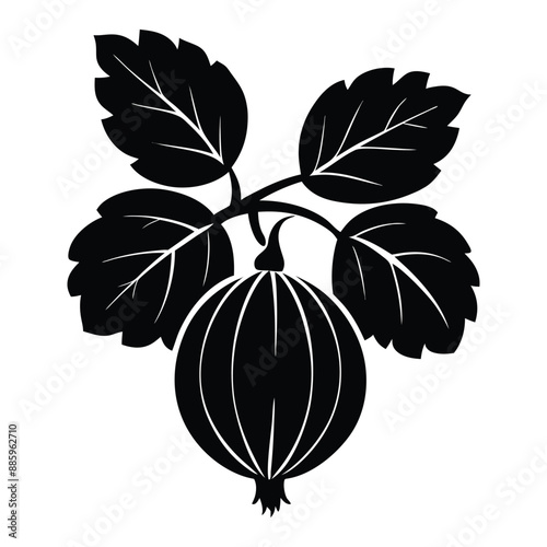 vector illustration of gooseberry fruit silhouette