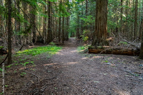 South Skookum Lake Hiking Trail photo