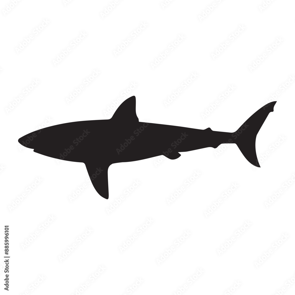 Obraz premium A large and dangerous shark. Vector image.