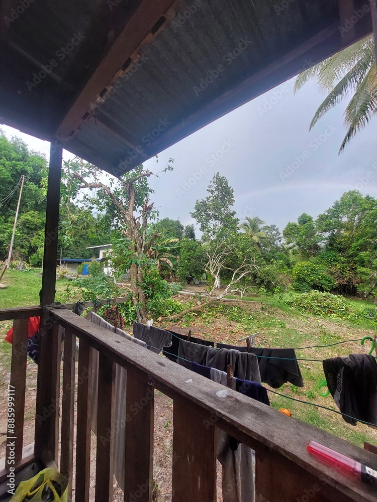 Fototapeta premium bridge in the jungle