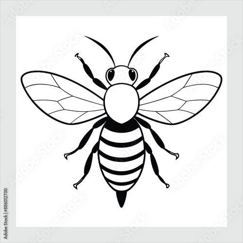 illustration of a bee