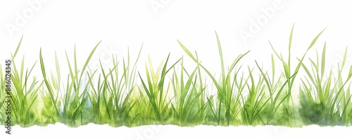 A green grass meadow, nature scene, watercolor illustration, vibrant, isolated on white background