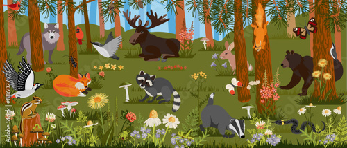 vector drawing landscape with summer forest, trees, wild animals and birds, insects and plants, wimmelbook, page of hidden picture book, natural background, hand drawn illustration
