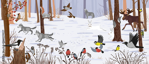vector drawing landscape with winter forest, trees, wild animals and birds and dry plants, wimmelbook, page of hidden picture book, natural background, hand drawn illustration