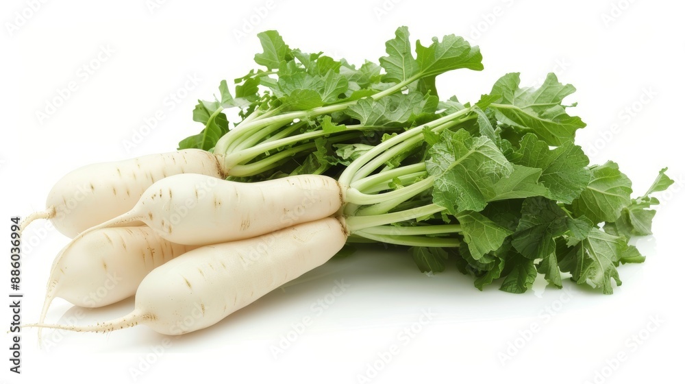 Daikon radishes isolated on white background Daikon radishes isolated on white background