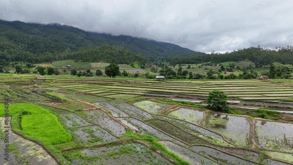 Rows of soil before planting.Terraced rice field Northern Thailand. Aerial view Rows of soil before planting.Terraced rice field Northern Thailand. Aerial view