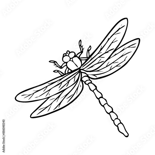 dragonfly outline vector illustration