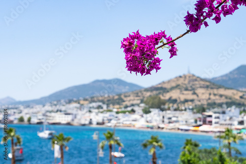Fototapeta Naklejka Na Ścianę i Meble -  Bodrum City and Coast in the Summer Season Drone Photo, Bodrum Mugla, Turkiye (Turkey)