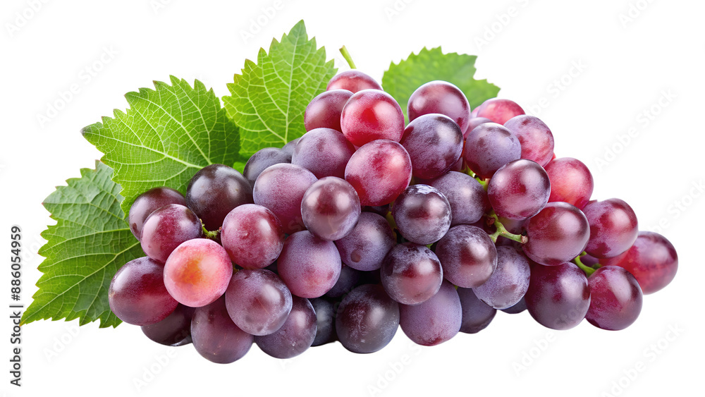 Fototapeta premium Grape. Generative Ai