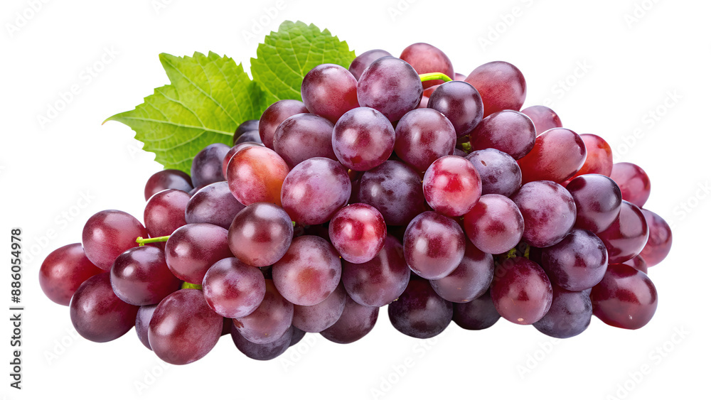 Grape. Generative Ai Grape. Generative Ai