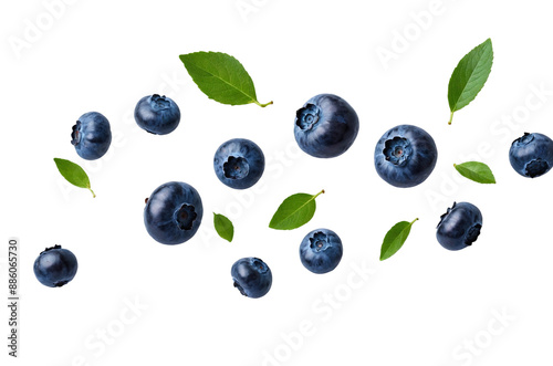 Flying swirl wave of Blueberries with green leaves in the air isolated on background, popular season berries fruit.