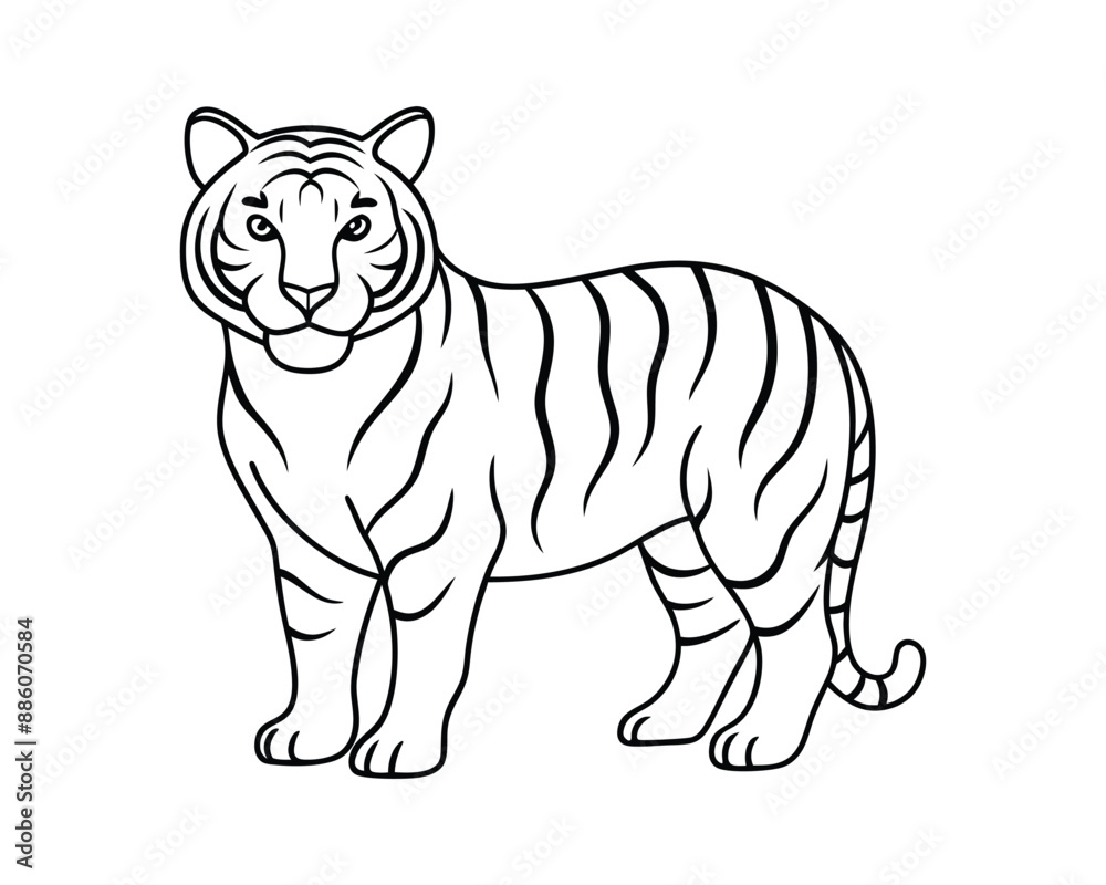 Fototapeta premium Tiger vector line art white background