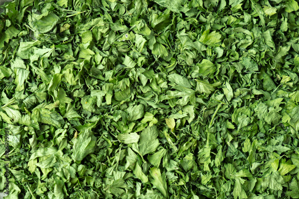 Background of green dry parsley. Vegetarian bio organic salad herb healthy eating. Home garden immunity-boosting herbs. Seasonal harvest cottagecore Background of green dry parsley. Vegetarian bio organic salad herb healthy eating. Home garden immunity-boosting herbs. Seasonal harvest cottagecore