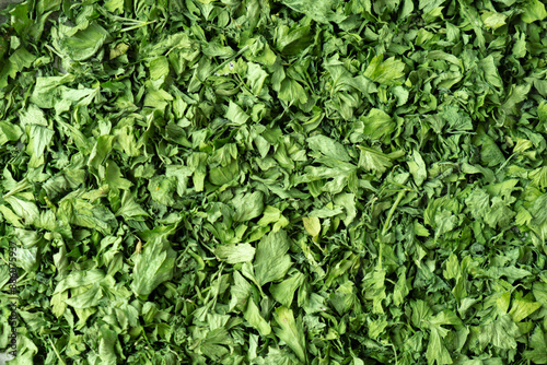 Wallpaper Mural Background of green dry parsley. Vegetarian bio organic salad herb healthy eating. Home garden immunity-boosting herbs. Seasonal harvest cottagecore Torontodigital.ca