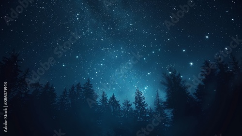 Foggy night sky with stars and silhouettes of fir trees