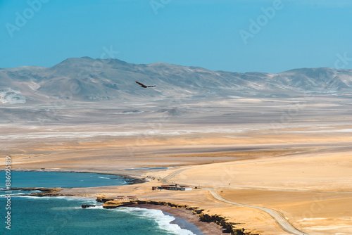 Paracas Panorama. Desert Meets Sea: The Untouched Splendor of Paracas Reserve