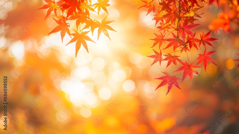 autumn background with red and yellow leaves and bokeh golden hour autumn background with red and yellow leaves and bokeh golden hour