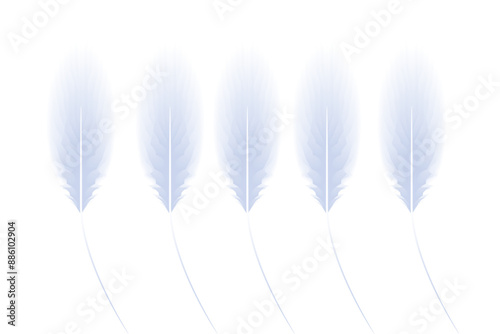 Background Abstract Feather Neumorphism 3D Copy Space Area